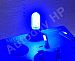 Led žárovka T10 gel 22mm 12V modrá Led žárovka T10 gel 22mm 12V modrá - klikněte pro více informací
